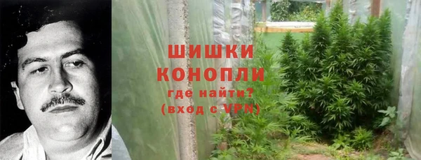 ГАЛЛЮЦИНОГЕННЫЕ ГРИБЫ Каменск-Шахтинский